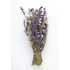 Larkspur and Daisy Dried Bouquet
